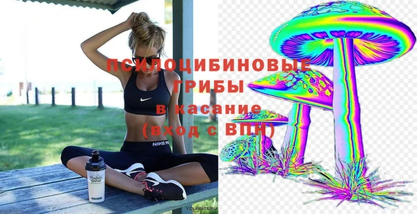марихуана Абаза